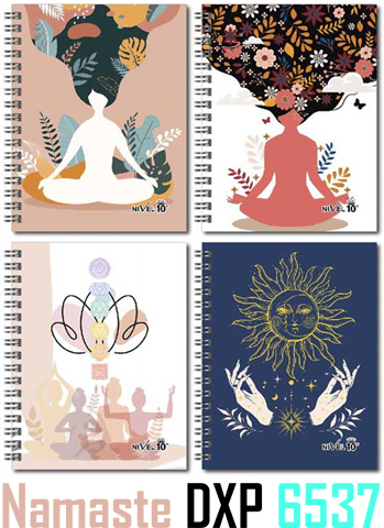 (15443) AGENDA NI 6537 N7 NAMASTE C/E DXP - AGENDAS - AGENDAS