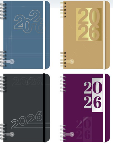 (15515U) AGENDA RY 12X17 UOMO 8031 DXP - AGENDAS - AGENDAS