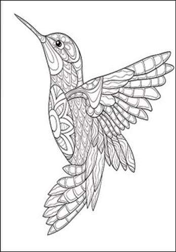 (1646**303) BASTIDOR 20X30 COLIBRI 303 - LINEA ARTISTICA - BASTIDORES