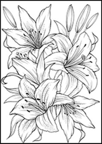 (1646**379) BASTIDOR 20X30 FLORES 379 - LINEA ARTISTICA - BASTIDORES