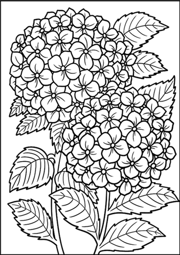 (1647**565) BASTIDOR 30X40 FLORES 565 - LINEA ARTISTICA - BASTIDORES