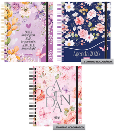 (17285) AGENDA PC 19X22 C/E EN CAJA - AGENDAS - AGENDAS