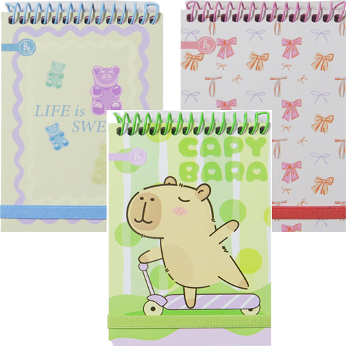 (182630) LIBRETA FANT.RY C/ELAST 1004 9X13 - CUADERNOS/LIBRETAS/REPUESTOS - LIBRETAS