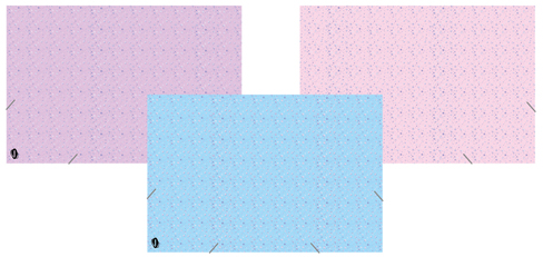 (60121A) CARPETA 3 SOLAP.OF R PP 163/20 ESTR - CARPETAS - CARPETAS 3 SOLAPAS