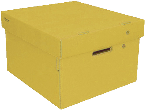 (6017**AM) CAJA ARCH.CARTON GS LISA CH.AMARIL. - CAJAS - CAJAS CARTON