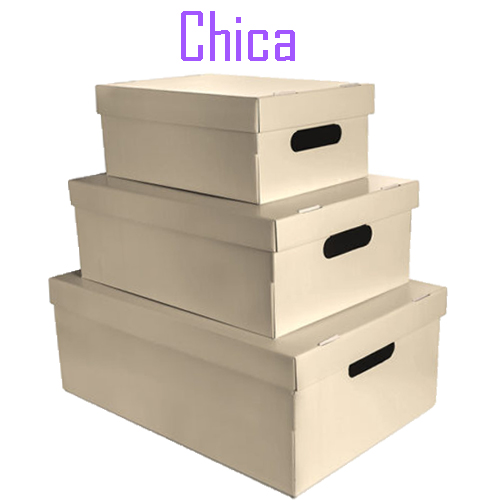 (6017**BE) CAJA ARCH.CARTON GS LISA CH.BEIGE - CAJAS - CAJAS CARTON