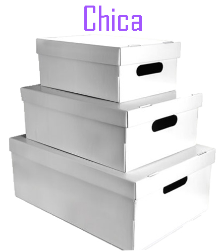 (6017**BL) CAJA ARCH.CARTON GS LISA CH.BLANCA - CAJAS - CAJAS CARTON