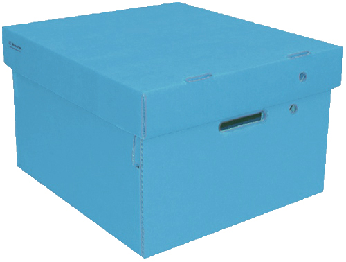 (6017**CE) CAJA ARCH.CARTON GS LISA CH.CELESTE - CAJAS - CAJAS CARTON