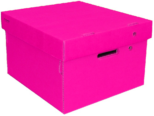 (6017**FU) CAJA ARCH.CARTON GS LISA CH.FUCSIA - CAJAS - CAJAS CARTON