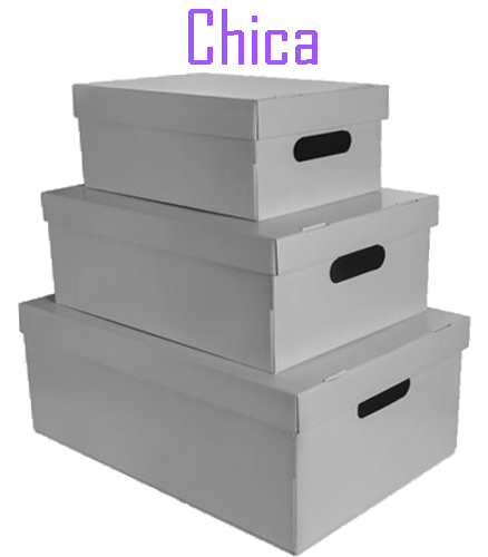 (6017**GR) CAJA ARCH.CARTON GS LISA CH.GRIS - CAJAS - CAJAS CARTON