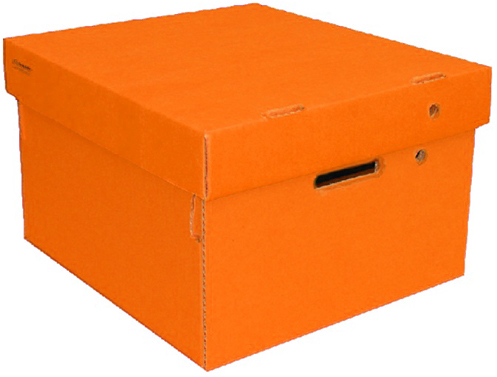 (6017**NA) CAJA ARCH.CARTON GS LISA CH.NARANJA - CAJAS - CAJAS CARTON