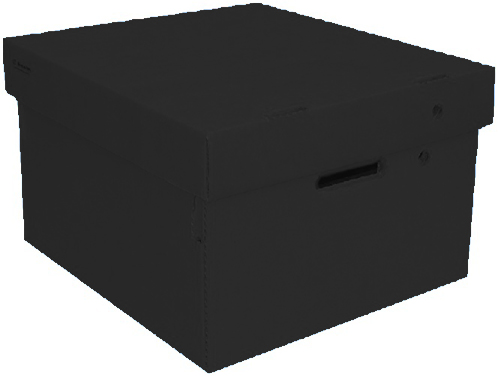 CAJA ARCH.CARTON GS LISA CH.NEGRA, CAJAS