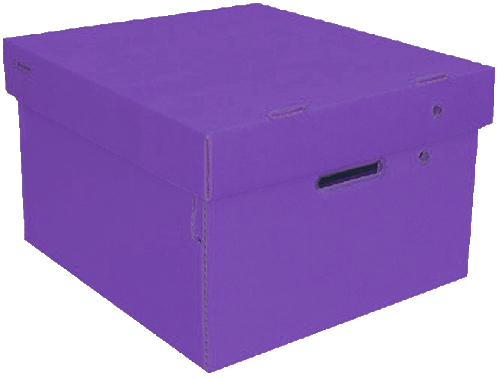 (6017**VI) CAJA ARCH.CARTON GS LISA CH.VIOLETA - CAJAS - CAJAS CARTON