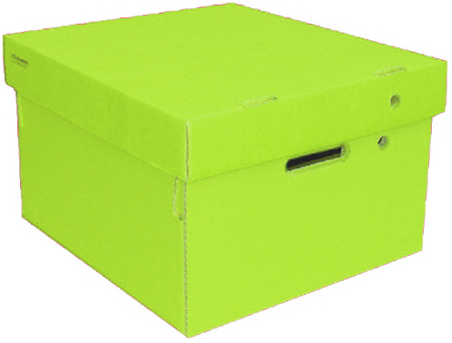 (6017**VM) CAJA ARCH.CARTON GS LISA CH.VE.MANZ - CAJAS - CAJAS CARTON