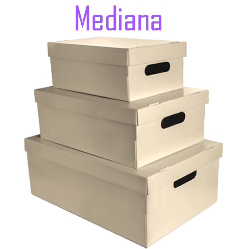 (6018**BE) CAJA ARCH.CARTON GS LISA ME.BEIGE - CAJAS - CAJAS CARTON