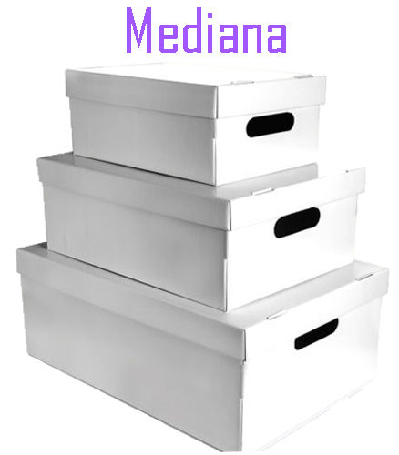 (6018**BL) CAJA ARCH.CARTON GS LISA ME.BLANCA - CAJAS - CAJAS CARTON