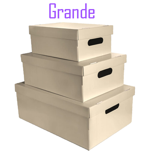 (6019**BE) CAJA ARCH.CARTON GS LISA GR.BEIGE - CAJAS - CAJAS CARTON