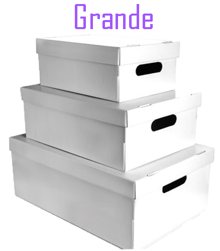 (6019**BL) CAJA ARCH.CARTON GS LISA GR.BLANCA - CAJAS - CAJAS CARTON