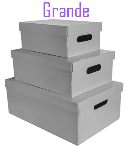 (6019**GR) CAJA ARCH.CARTON GS LISA GR.GRIS - CAJAS - CAJAS CARTON