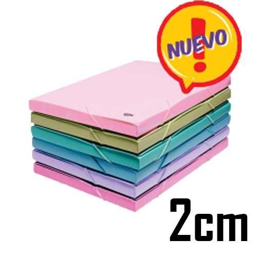 (60309P) CAJA PLASTICA OF LOMO 2CM.174/10 PA - CAJAS - CAJAS PLASTICAS