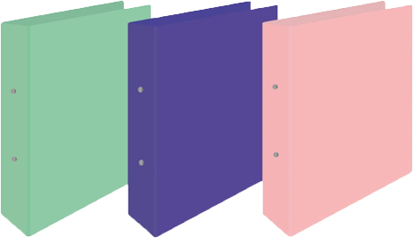 (60531Y) CARPETA 2X40 R A4 72504/6 TEXT.LINO - CARPETAS - CARPETA ESCOLAR 2X40