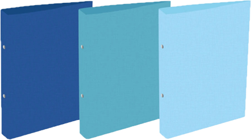 (60531Z) CARPETA 2X20 R A4 72514/7 TEXT.LINO - CARPETAS - CARPETA ESCOLAR 2X40