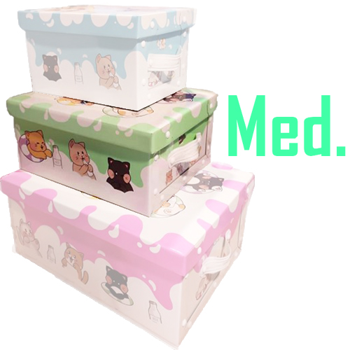 (6057**GA) CAJA ARCH.BAULERA GS.GATITOS MEDIAN - CAJAS - CAJAS CARTON