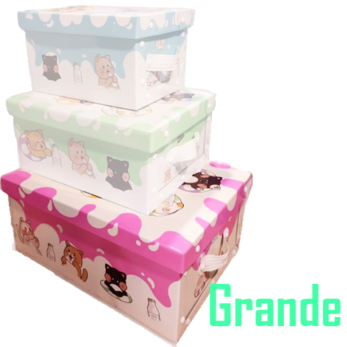 (6058**GA) CAJA ARCH.BAULERA GS.GATITOS GRANDE - CAJAS - CAJAS CARTON