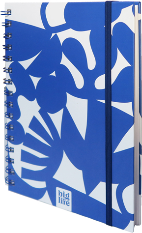 (93361) CUAD.C/ESP.PPR 16X21 BLUE.RAY - CUADERNOS/LIBRETAS/REPUESTOS - CUADERNOS ESPECIALES