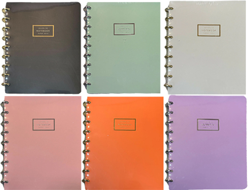 (93721H) CUAD.REMOV.DEC 14X21 80H DISCO PLA - CUADERNOS/LIBRETAS/REPUESTOS - CUADERNOS 16X21