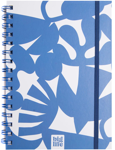 (96361) CUAD.C/ESP.PPR 16X21 BLUE.LISO - CUADERNOS/LIBRETAS/REPUESTOS - CUADERNOS ESPECIALES